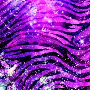 Meet your Posher, Spencer